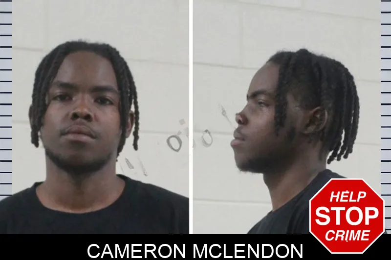 Cameron McLendon mugshot