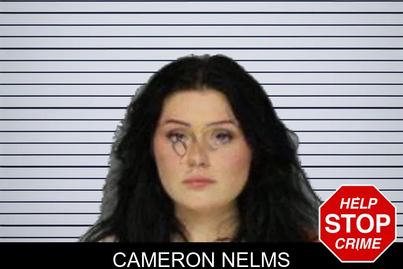 Cameron Nelms mugshot