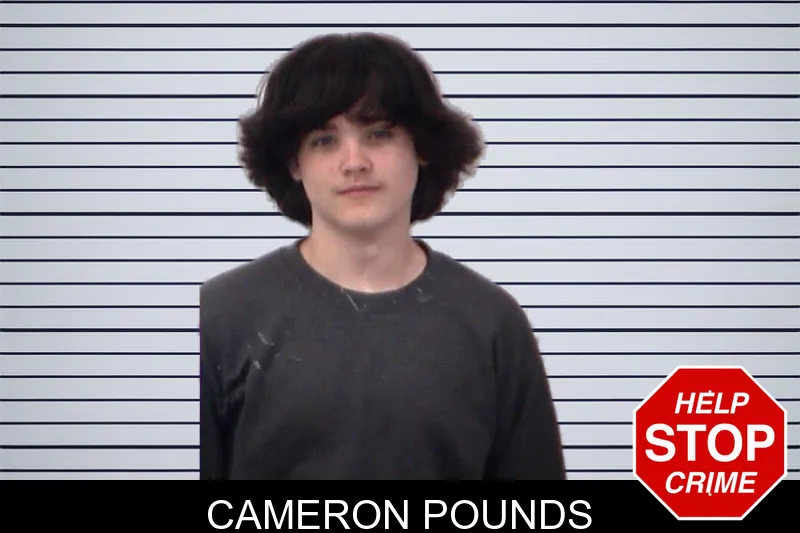 Cameron Pounds mugshot – Emanuel County , Georgia Cameron Pounds mugshot