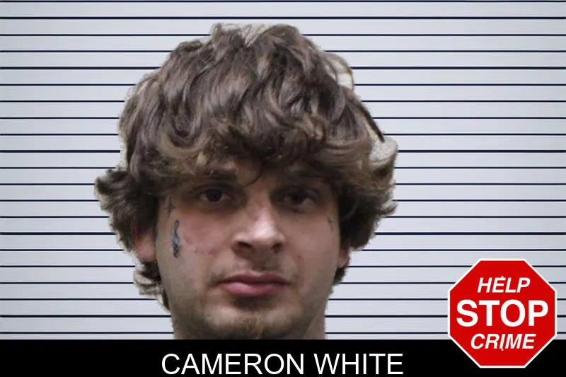 Cameron White mugshot