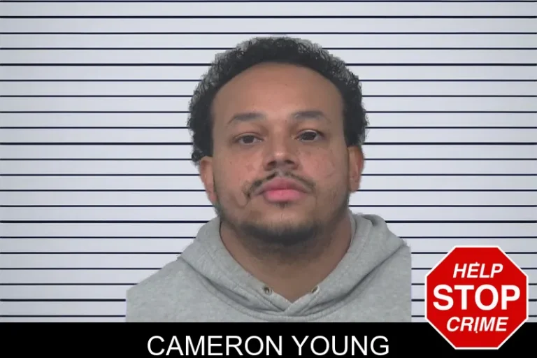 Cameron Young mugshot – Gwinnett County , Georgia Cameron Young