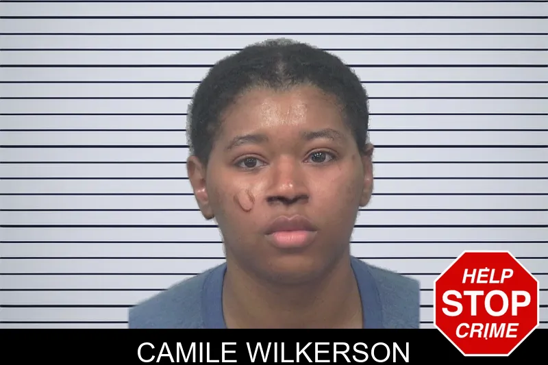 Camile Wilkerson mugshot – Gwinnett County , Georgia Camile Wilkerson mugshot