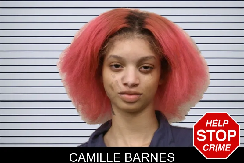 Camille Barnes mugshot
