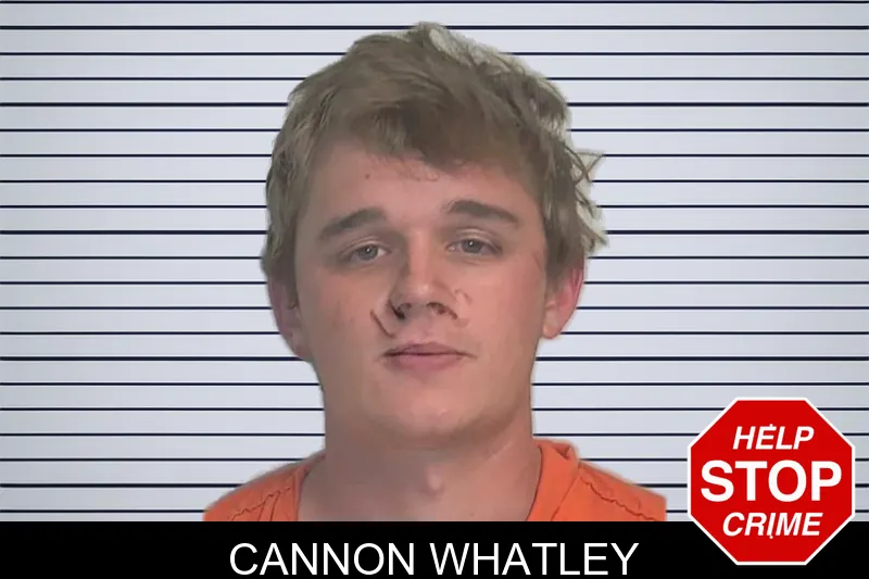Cannon Whatley mugshot
