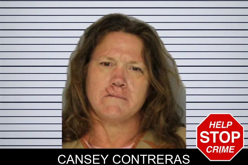 Cansey Contreras mugshot – Hall County , Georgia Cansey Contreras mugshot