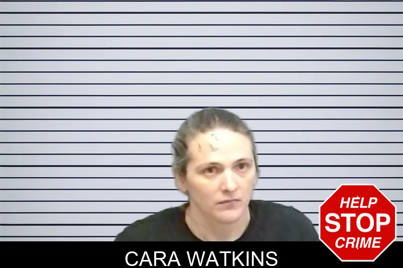 Cara Watkins mugshot – Fulton County , Georgia Cara Watkins mugshot