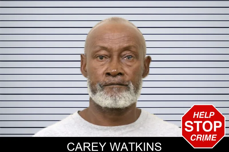 Carey Watkins mugshot