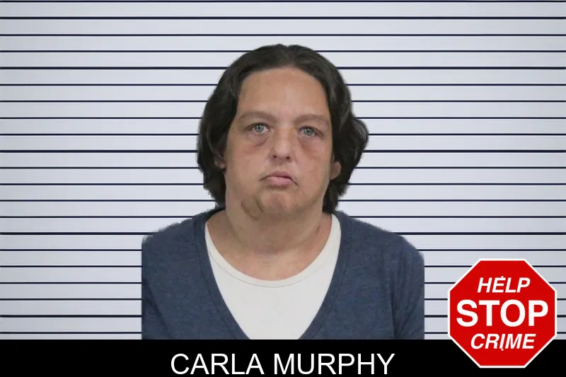 Carla Murphy mugshot – Catoosa County , Georgia Carla Murphy mugshot