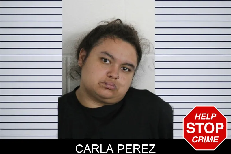 Carla Perez mugshot