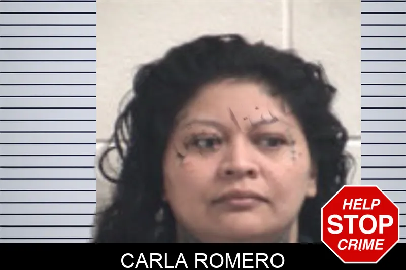 Carla Romero mugshot – Henry County , Georgia Carla Romero mugshot