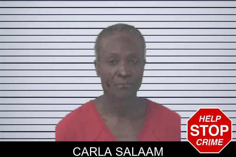 Carla Salaam mugshot – Newton County , Georgia Carla Salaam mugshot