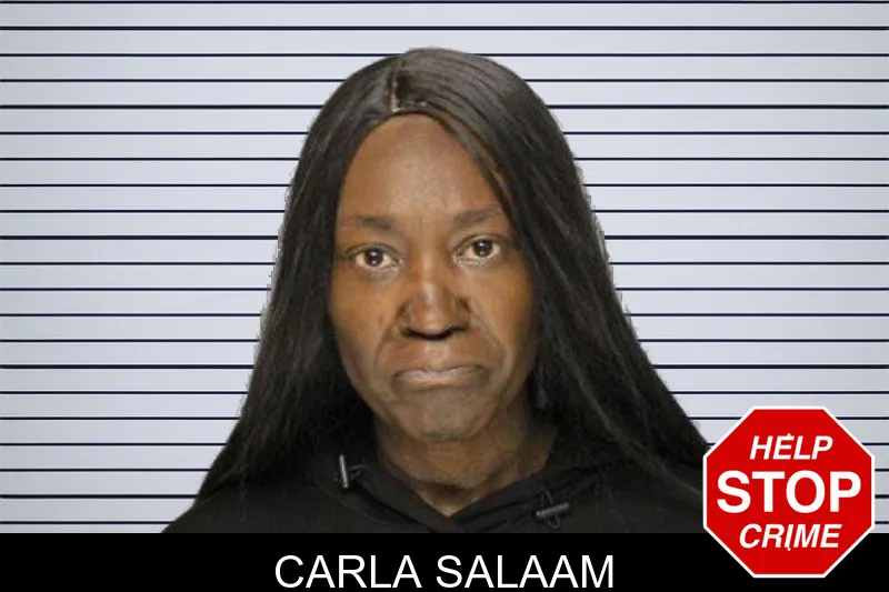 Carla Salaam mugshot – Hall County , Georgia Carla Salaam mugshot