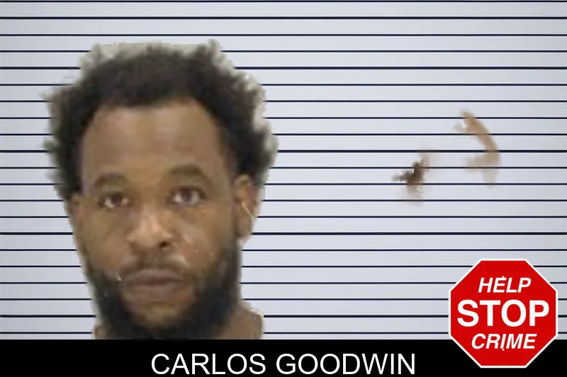 Carlos Goodwin mugshot