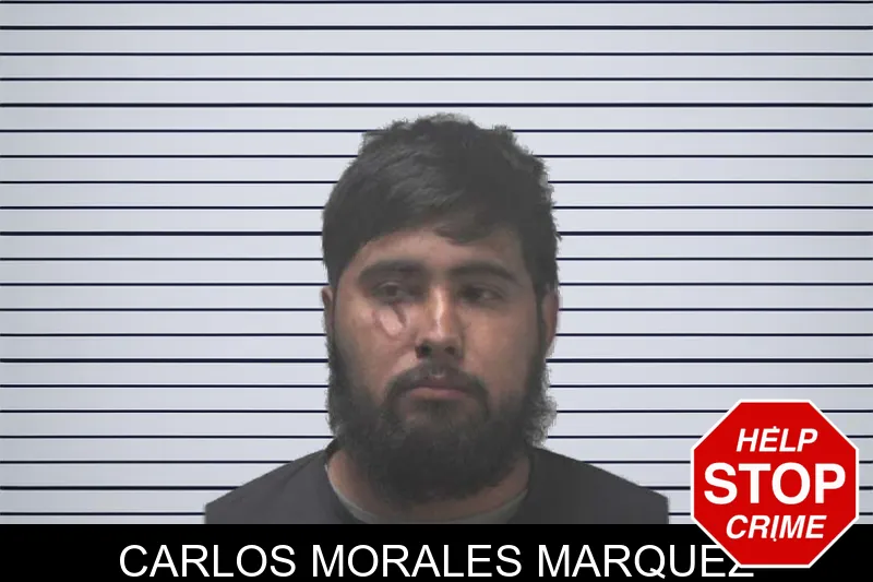 Carlos Morales Marquez mugshot – Coweta County , Georgia Carlos Morales Marquez mugshot