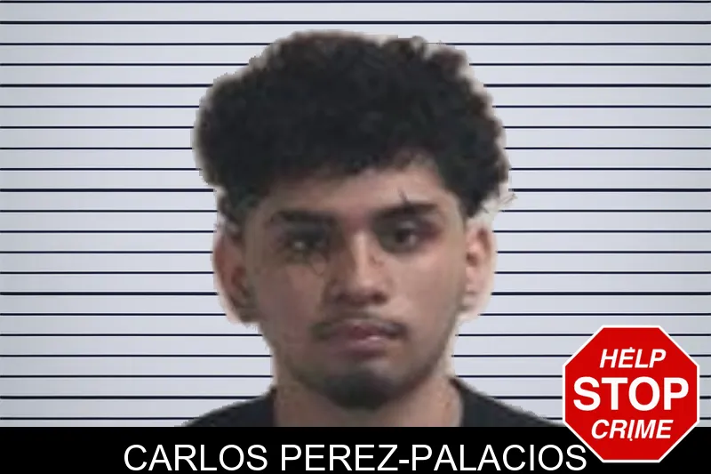 Carlos Perez-Palacios mugshot