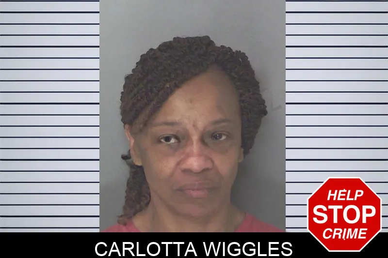 Carlotta Wiggles mugshot