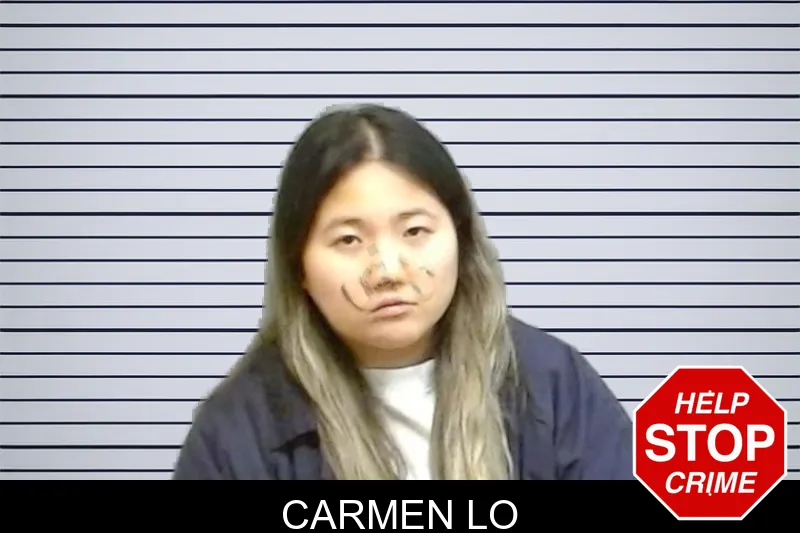 Carmen Lo mugshot