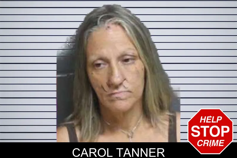 Carol Tanner mugshot