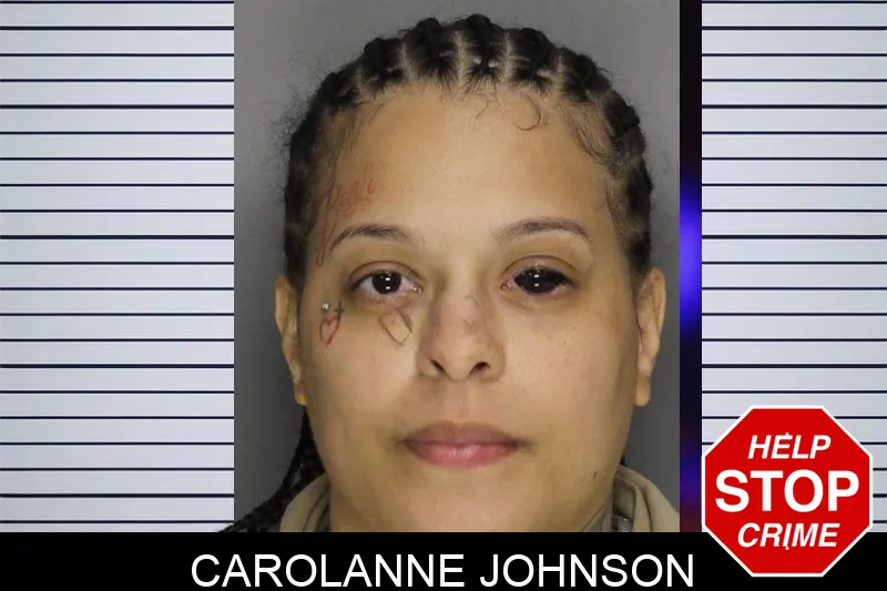 Carolanne Johnson mugshot – Cobb County , Georgia Carolanne Johnson mugshot