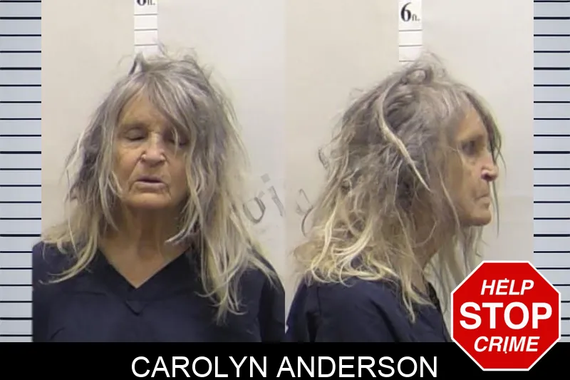 Carolyn Anderson mugshot