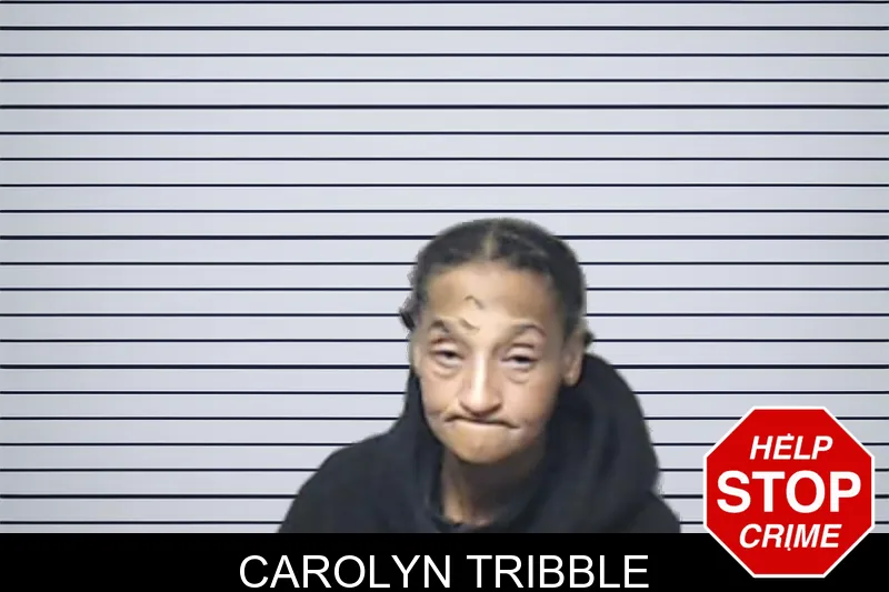 Carolyn Tribble mugshot