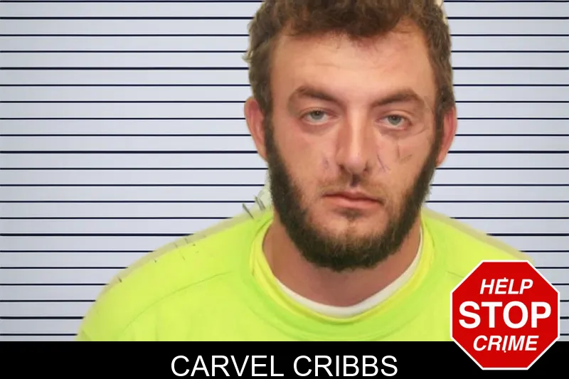 Carvel Cribbs mugshot
