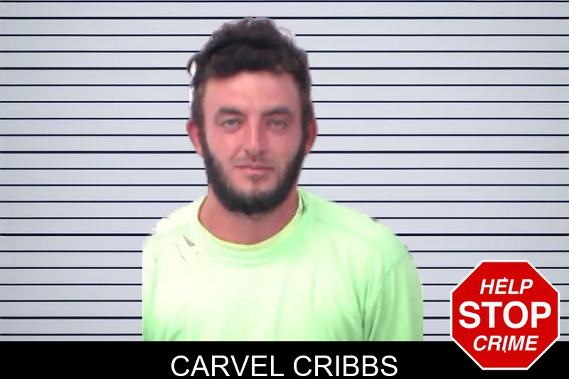 Carvel Cribbs mugshot