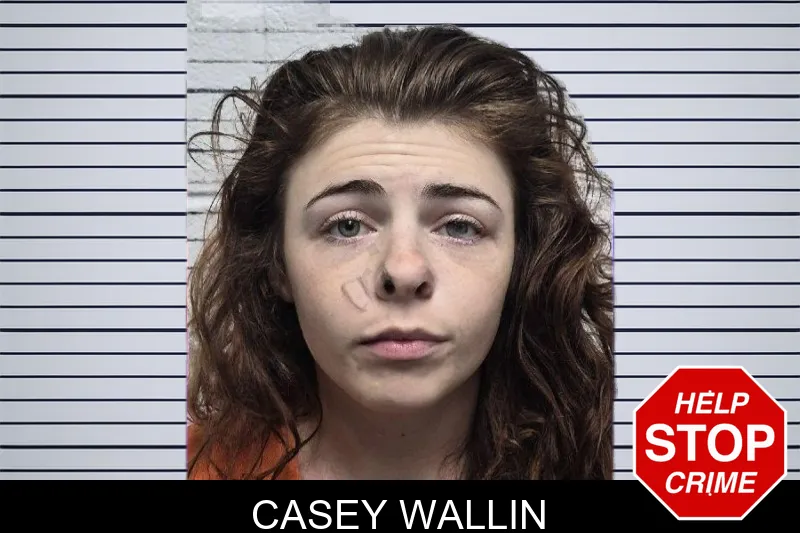 Casey Wallin mugshot – Dade County , Georgia Casey Wallin mugshot