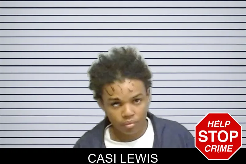 Casi Lewis mugshot