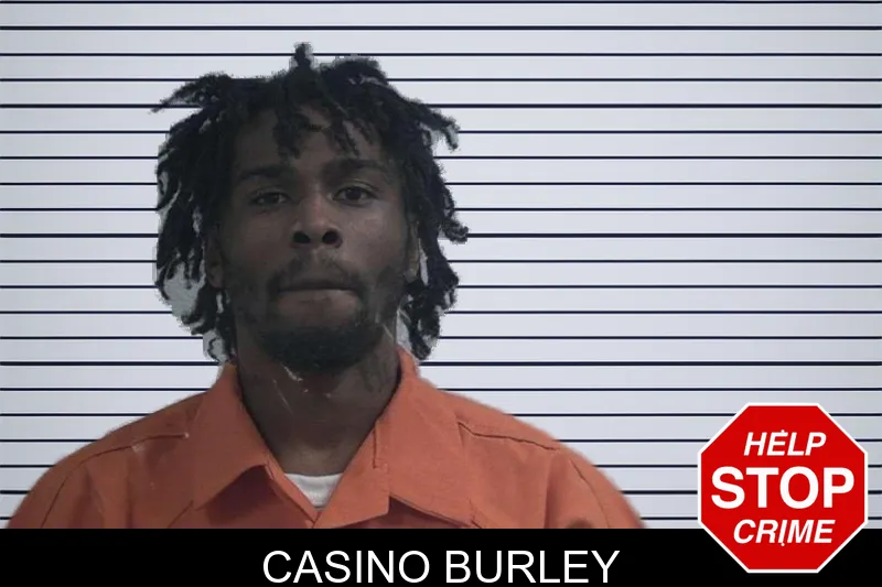 Casino Burley mugshot