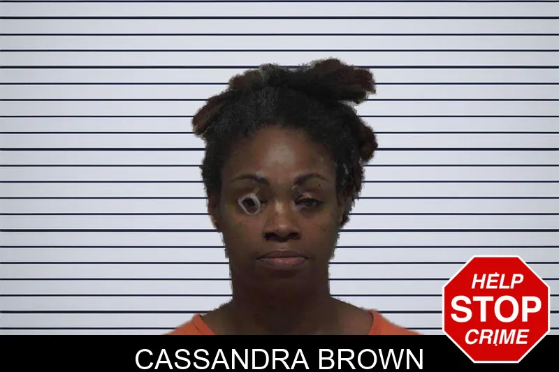 Cassandra Brown mugshot – Laurens County , Georgia Cassandra Brown mugshot