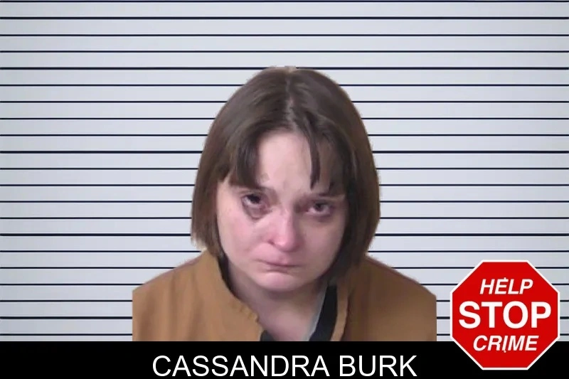Cassandra Burk mugshot – Walker County , Georgia Cassandra Burk mugshot