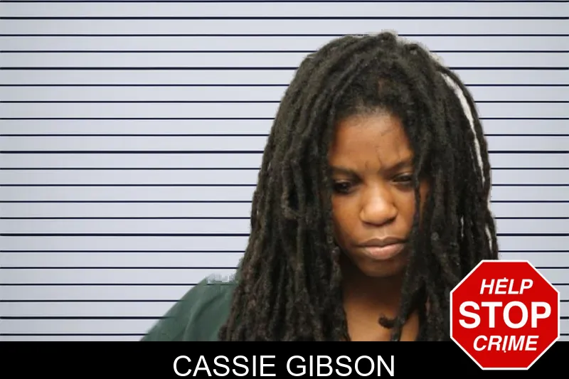 Cassie Gibson mugshot