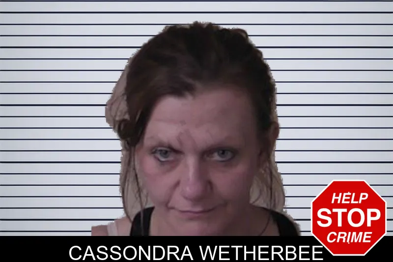 Cassondra Wetherbee mugshot