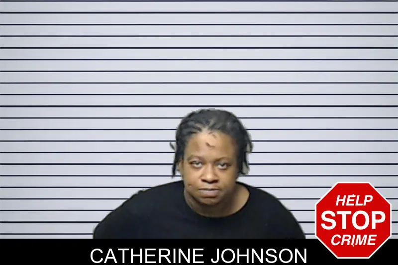 Catherine Johnson mugshot