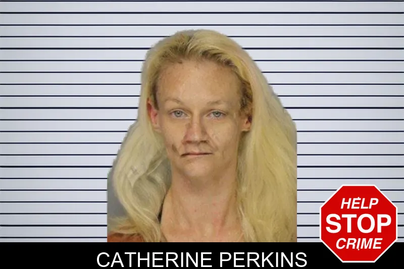 Catherine Perkins mugshot – Hall County , Georgia Catherine Perkins mugshot