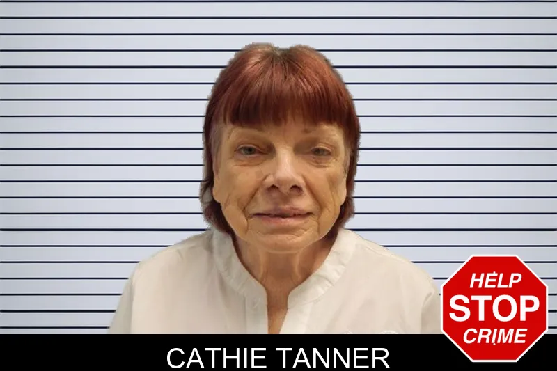 Cathie Tanner mugshot – Hall County , Georgia Cathie Tanner mugshot