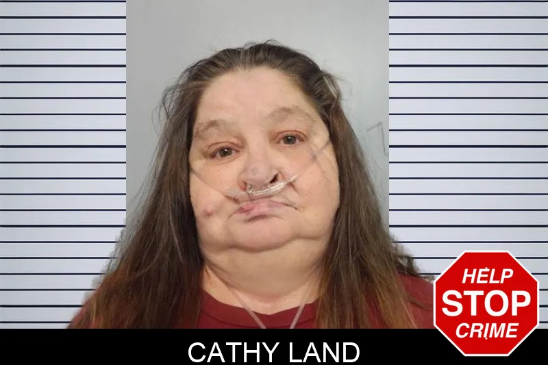 Cathy Land mugshot – Hall County , Georgia Cathy Land mugshot