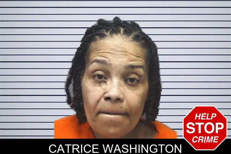 Catrice Washington mugshot – Cherokee County , Georgia Catrice Washington mugshot