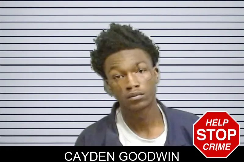 Cayden Goodwin mugshot