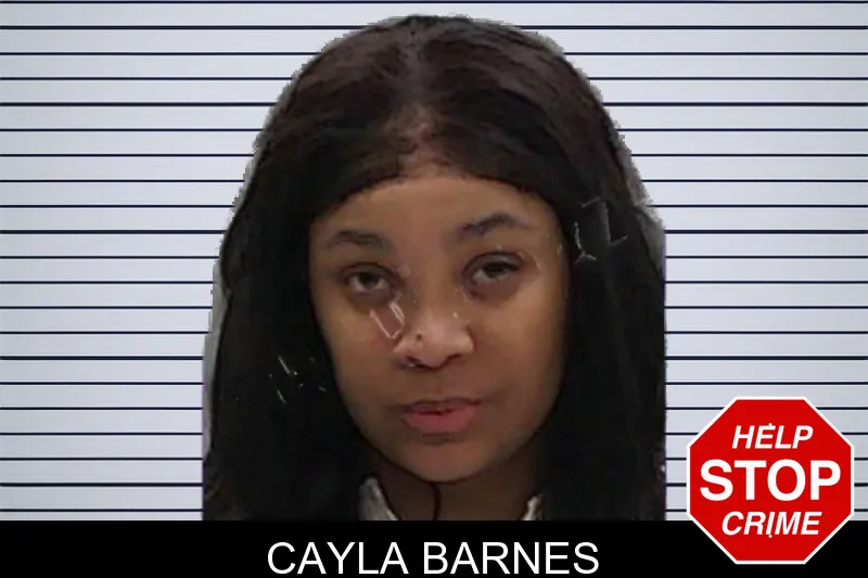 Cayla Barnes mugshot