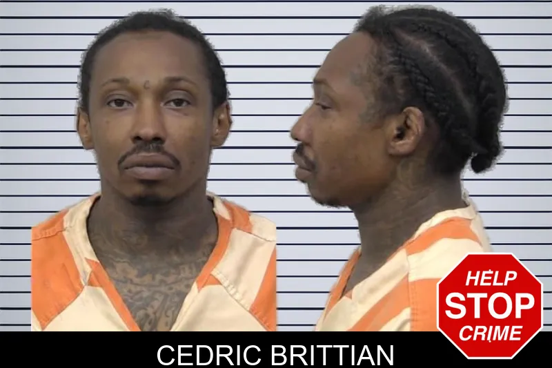 Cedric Brittian mugshot