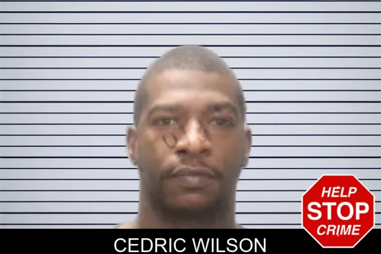 Cedric Wilson