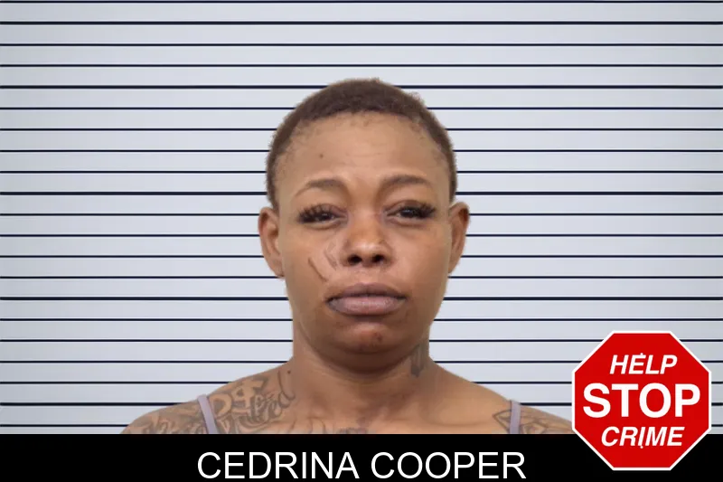 Cedrina Cooper mugshot – Bulloch County , Georgia Cedrina Cooper mugshot