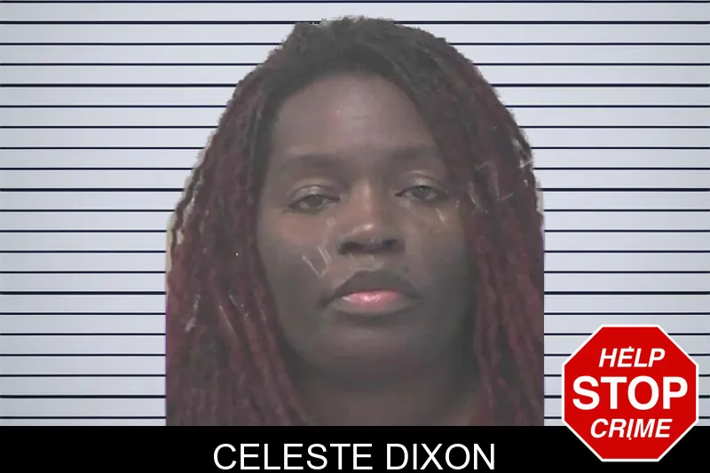 Celeste Dixon mugshot – Newton County , Georgia Celeste Dixon mugshot