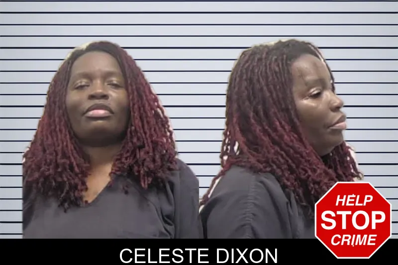 Celeste Dixon mugshot