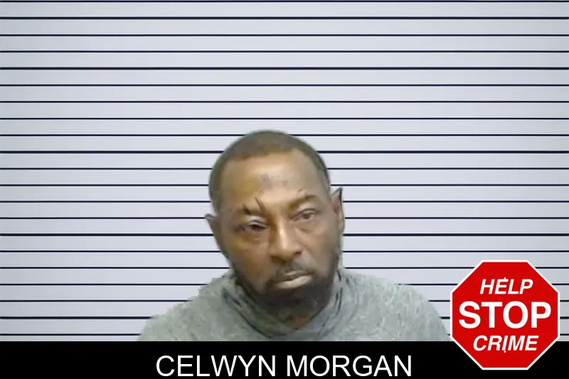Celwyn Morgan mugshot
