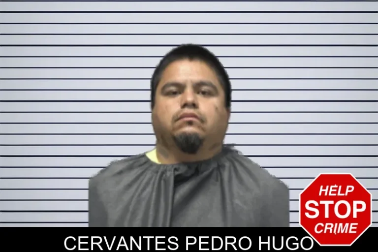 Cervantes Pedro Hugo