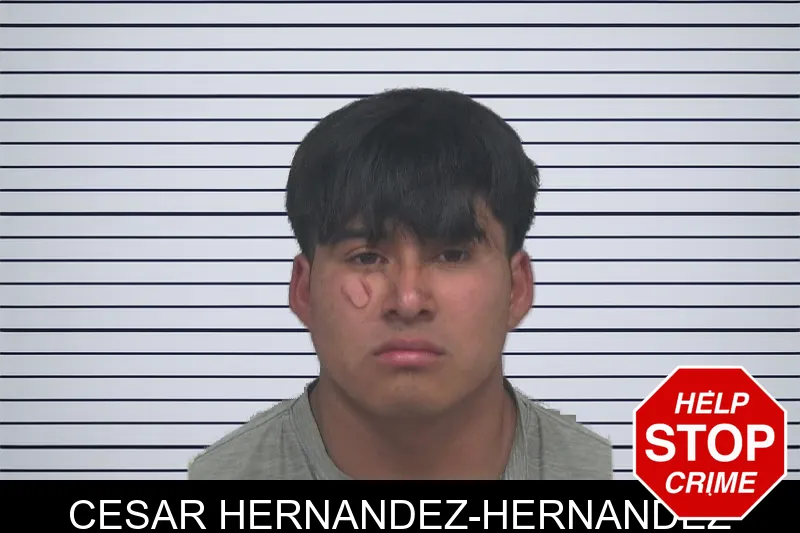 Cesar Hernandez-Hernandez mugshot