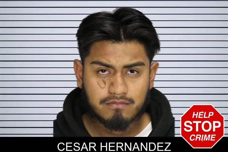 Cesar Hernandez mugshot